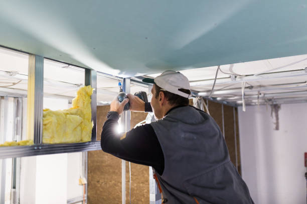 Best Home Insulation Services  in Schlusser, PA