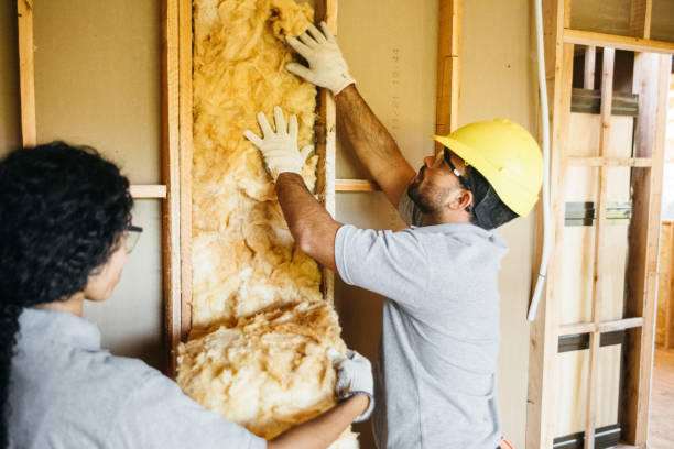 Best Insulation Replacement Services  in Schlusser, PA