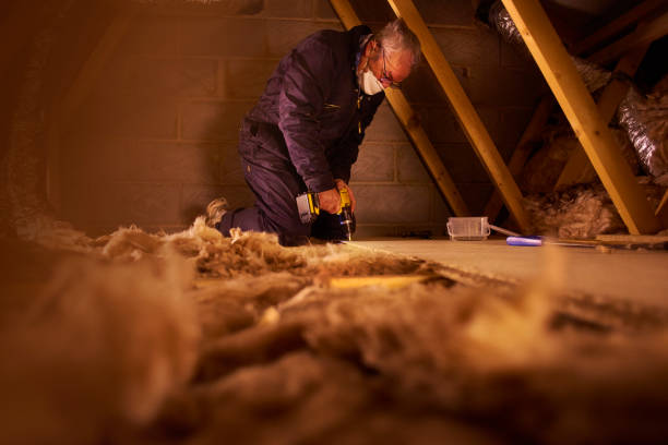 Best Cellulose Insulation  in Schlusser, PA